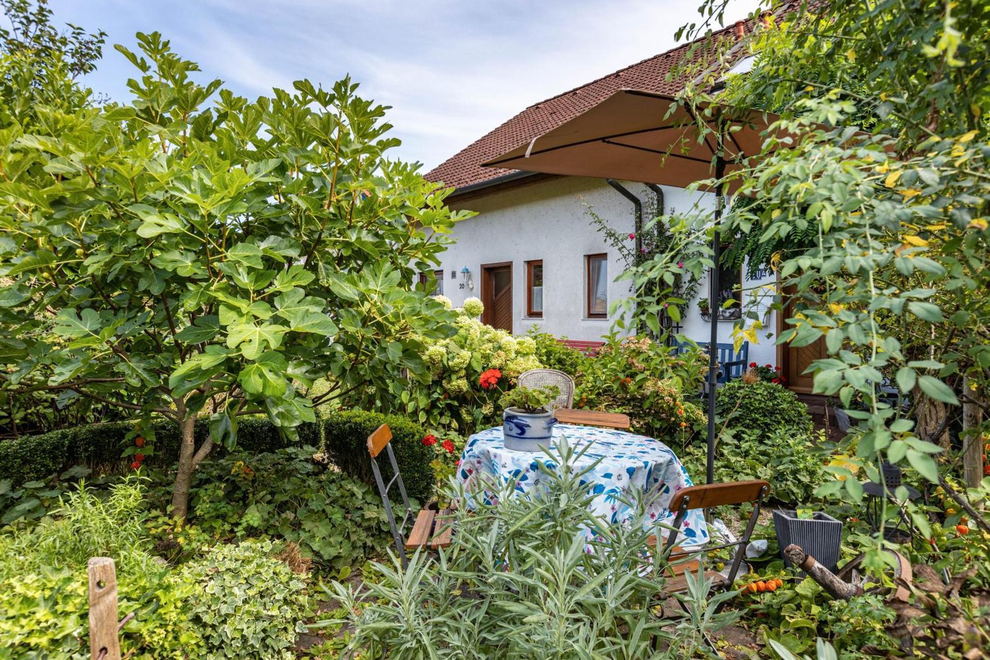 Ferienwohnung Alina Singen Exteriör bild